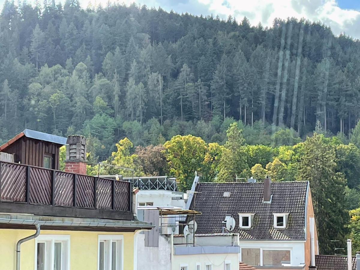 Black Forest Appartement *